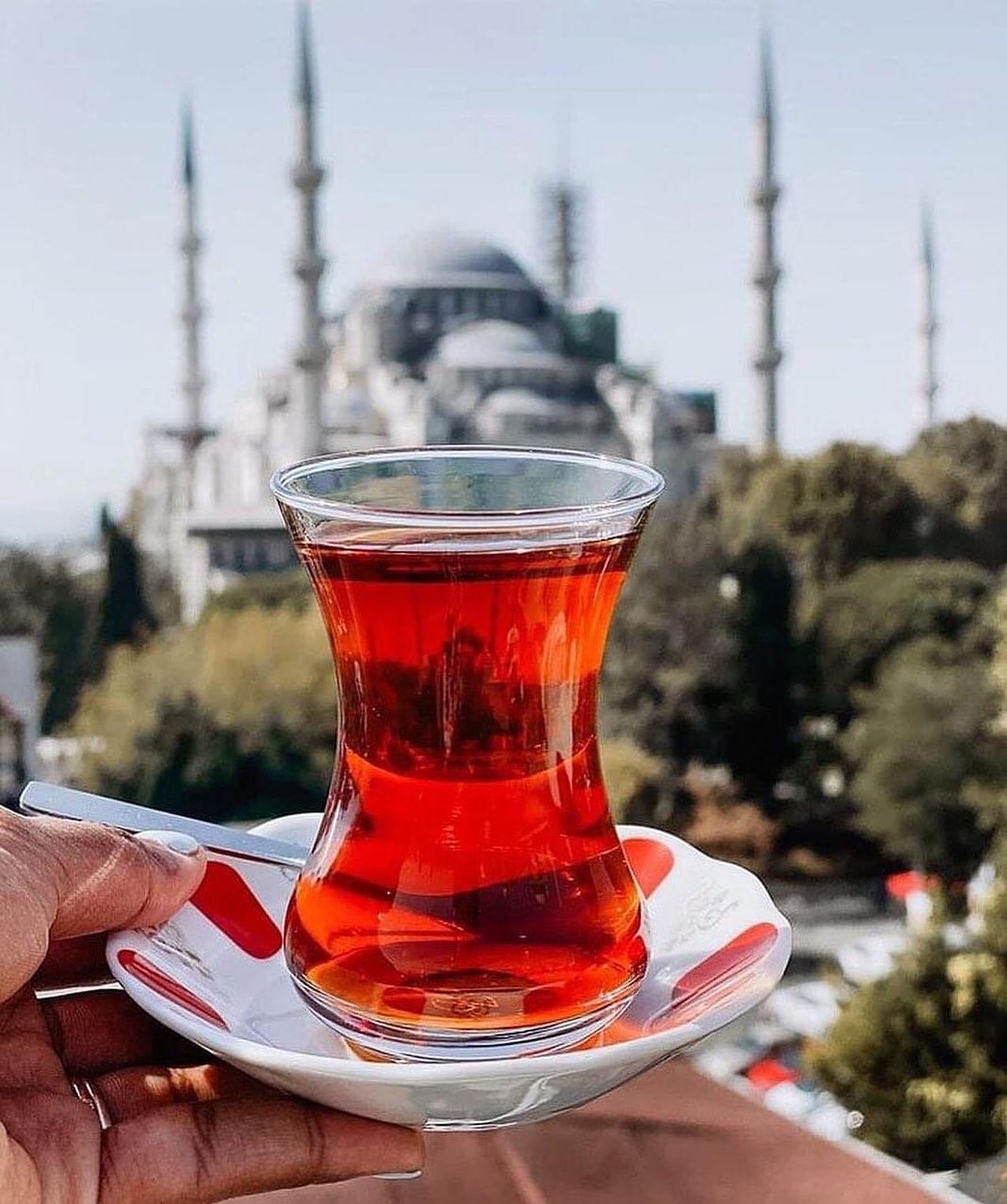 A Few Hours - Layover Visit